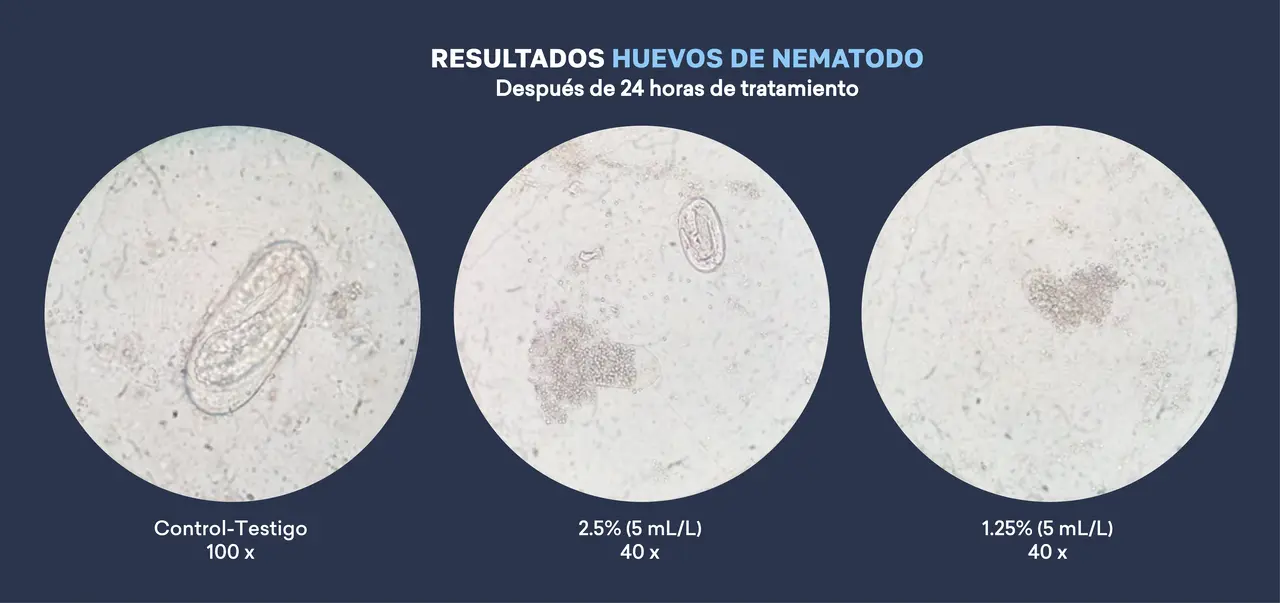 resultados_de_laboratorio.png