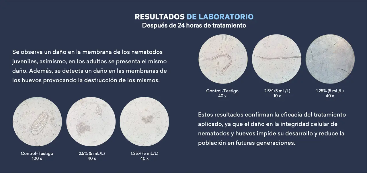 resultados_huevos_de_nema,todo.png